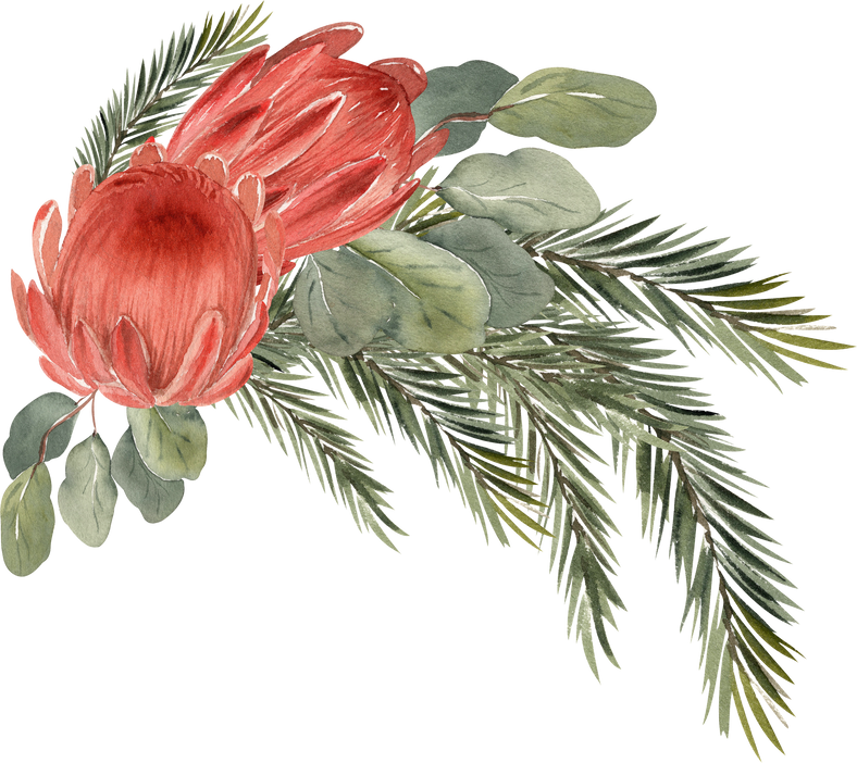 Watercolor winter bouquet with protea, eucalyptus, spruce